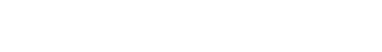 DEMO ECOM
